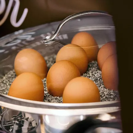 بي آند بي فندق 3*